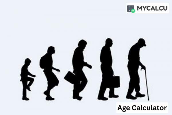 Age Calculators: Real-Life Applications and Uses
