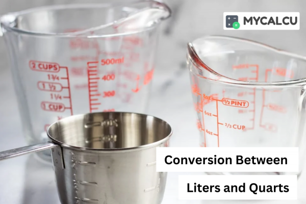 Understanding The Differences Between Liters (L) And Quarts (qt)